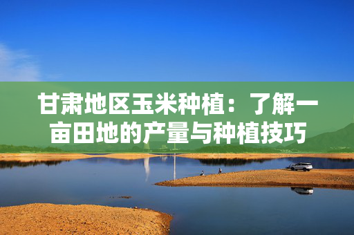 甘肃地区玉米种植：了解一亩田地的产量与种植技巧