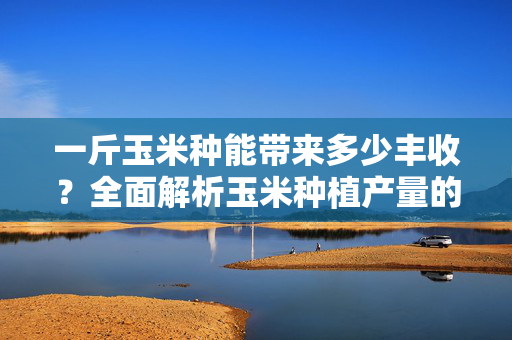 一斤玉米种能带来多少丰收？全面解析玉米种植产量的影响因素