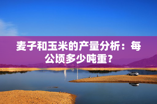麦子和玉米的产量分析：每公顷多少吨重？