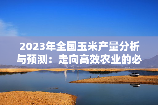 2023年全国玉米产量分析与预测：走向高效农业的必经之路