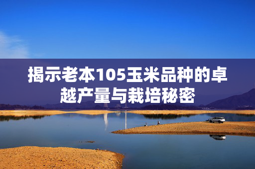 揭示老本105玉米品种的卓越产量与栽培秘密