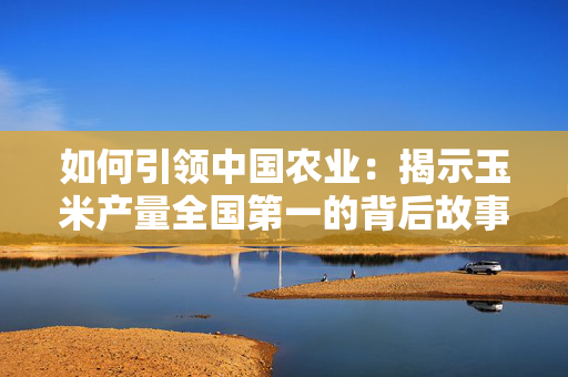 如何引领中国农业：揭示玉米产量全国第一的背后故事