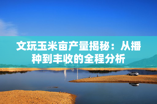 文玩玉米亩产量揭秘：从播种到丰收的全程分析