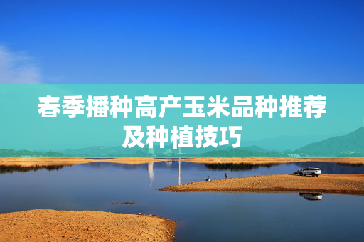 春季播种高产玉米品种推荐及种植技巧