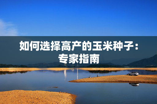 如何选择高产的玉米种子：专家指南