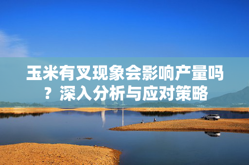 玉米有叉现象会影响产量吗？深入分析与应对策略