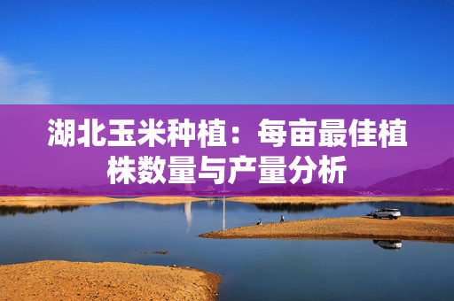 湖北玉米种植：每亩最佳植株数量与产量分析