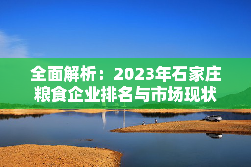 全面解析：2023年石家庄粮食企业排名与市场现状