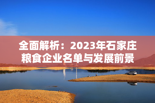 全面解析：2023年石家庄粮食企业名单与发展前景