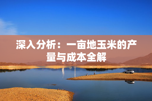 深入分析：一亩地玉米的产量与成本全解
