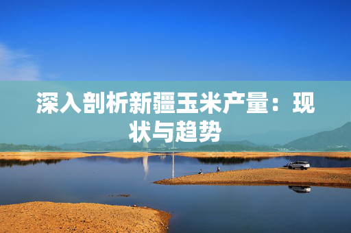 深入剖析新疆玉米产量：现状与趋势