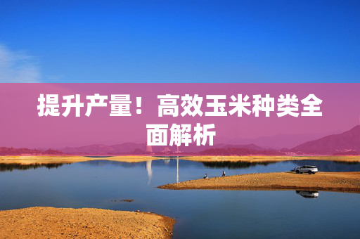 提升产量！高效玉米种类全面解析