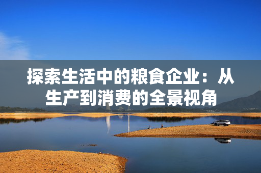 探索生活中的粮食企业：从生产到消费的全景视角
