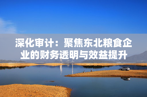 深化审计：聚焦东北粮食企业的财务透明与效益提升