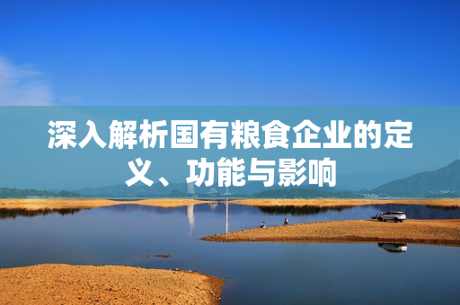 深入解析国有粮食企业的定义、功能与影响
