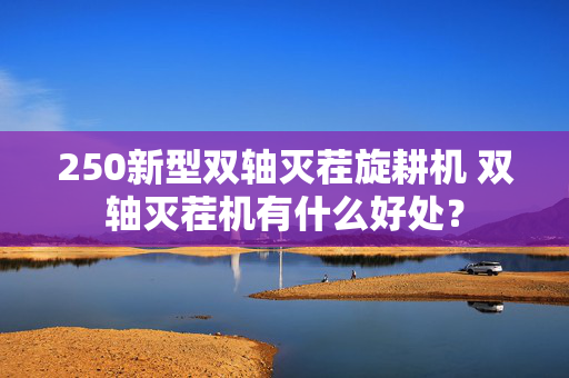 250新型双轴灭茬旋耕机 双轴灭茬机有什么好处？