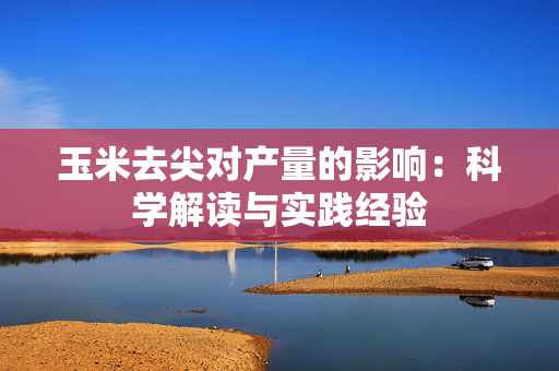 玉米去尖对产量的影响：科学解读与实践经验