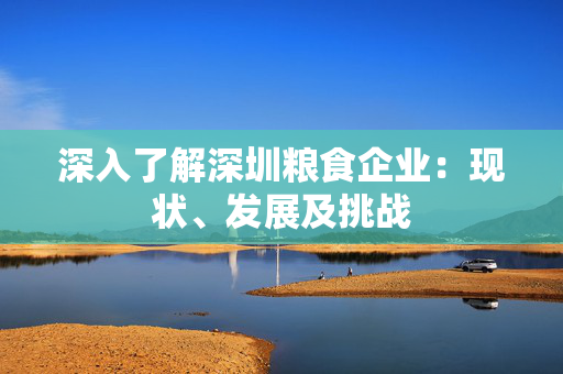 深入了解深圳粮食企业：现状、发展及挑战