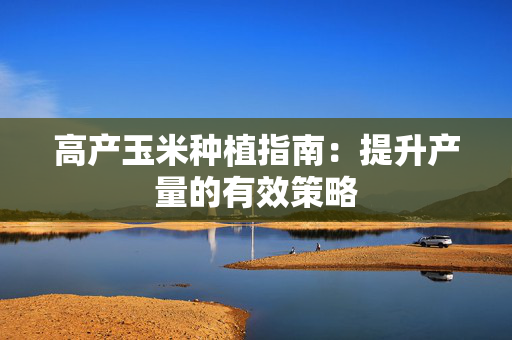高产玉米种植指南：提升产量的有效策略