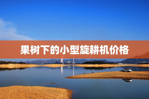 果树下的小型旋耕机价格