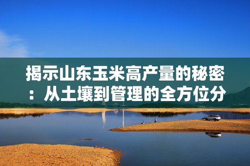 揭示山东玉米高产量的秘密：从土壤到管理的全方位分析