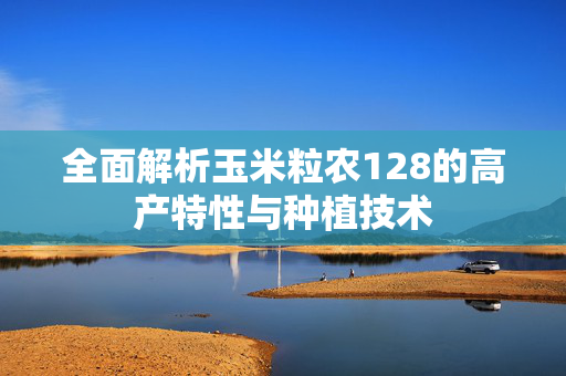 全面解析玉米粒农128的高产特性与种植技术