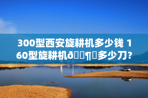 300型西安旋耕机多少钱 160型旋耕机🈶️多少刀？
