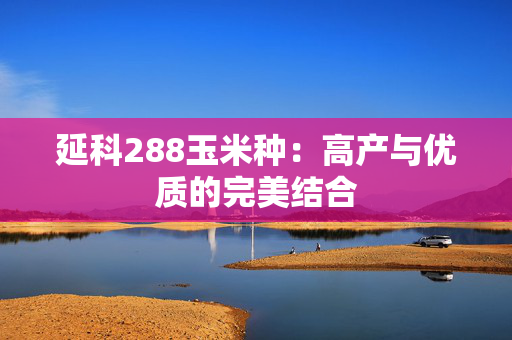 延科288玉米种：高产与优质的完美结合