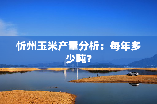 忻州玉米产量分析：每年多少吨？