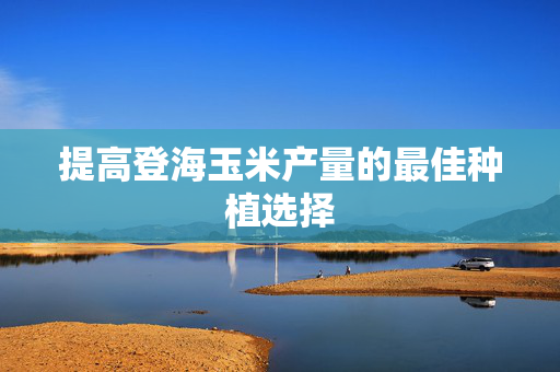提高登海玉米产量的最佳种植选择