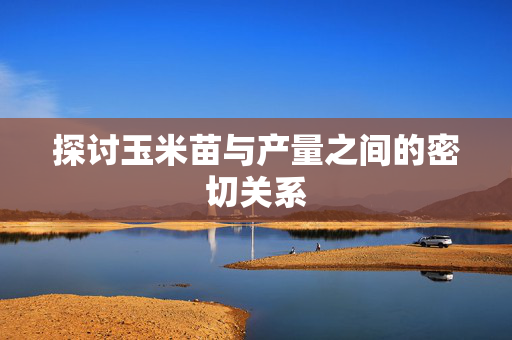 探讨玉米苗与产量之间的密切关系