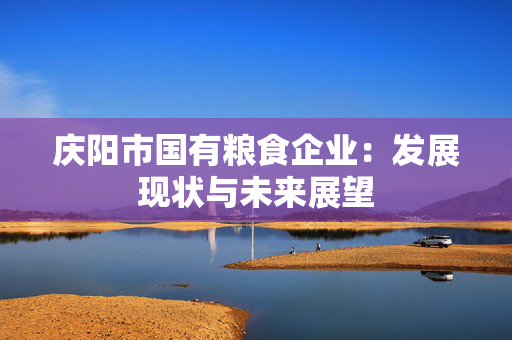 庆阳市国有粮食企业：发展现状与未来展望