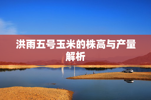 洪雨五号玉米的株高与产量解析