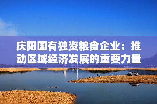 庆阳国有独资粮食企业：推动区域经济发展的重要力量