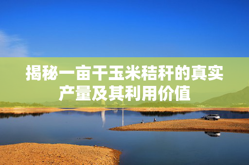 揭秘一亩干玉米秸秆的真实产量及其利用价值