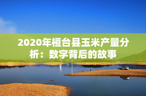 2020年桓台县玉米产量分析：数字背后的故事