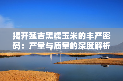 揭开延吉黑糯玉米的丰产密码：产量与质量的深度解析