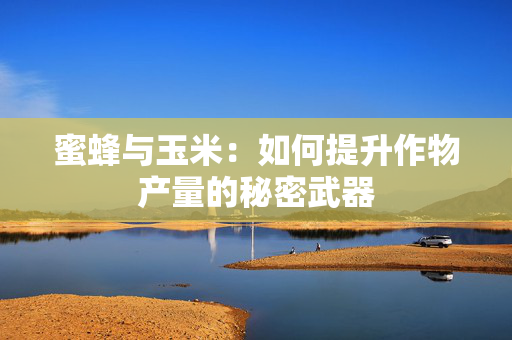 蜜蜂与玉米：如何提升作物产量的秘密武器