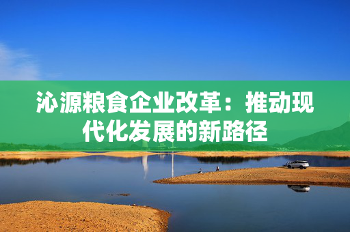 沁源粮食企业改革：推动现代化发展的新路径