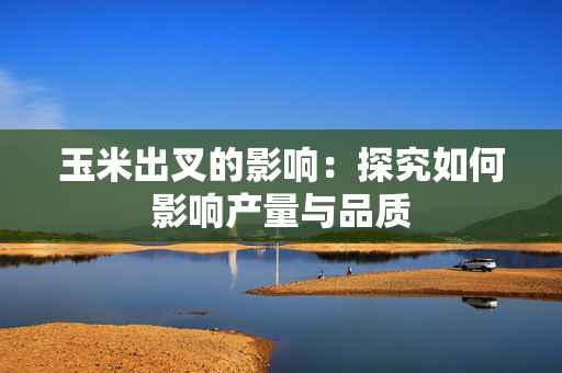 玉米出叉的影响：探究如何影响产量与品质
