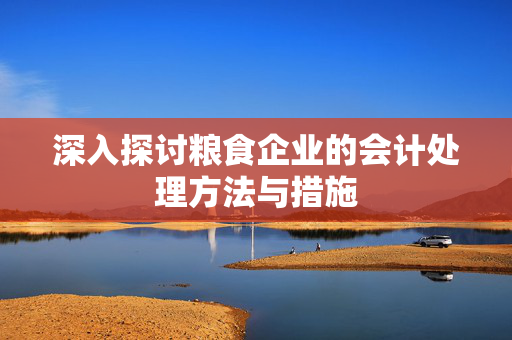 深入探讨粮食企业的会计处理方法与措施