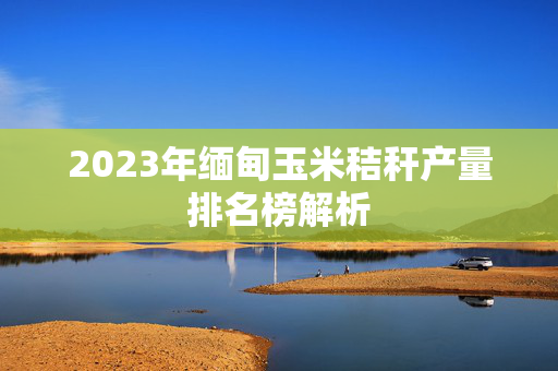 2023年缅甸玉米秸秆产量排名榜解析