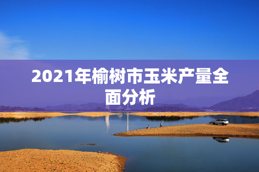 2021年榆树市玉米产量全面分析