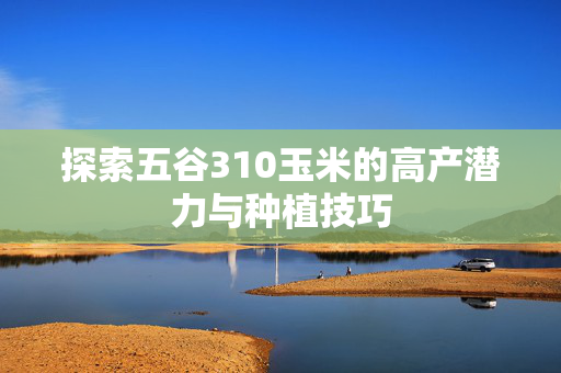 探索五谷310玉米的高产潜力与种植技巧