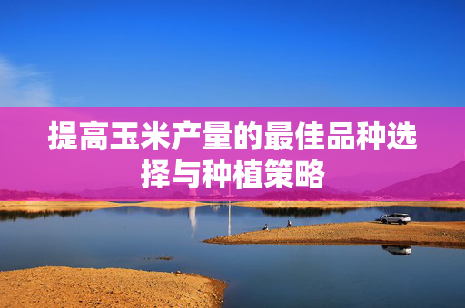 提高玉米产量的最佳品种选择与种植策略