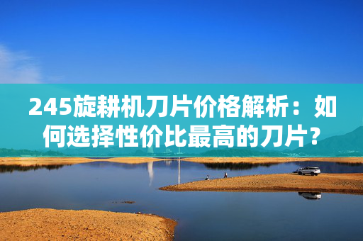 245旋耕机刀片价格解析：如何选择性价比最高的刀片？