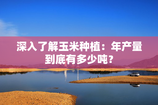 深入了解玉米种植：年产量到底有多少吨？