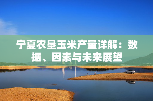 宁夏农垦玉米产量详解：数据、因素与未来展望