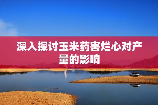 深入探讨玉米药害烂心对产量的影响