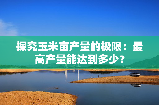 探究玉米亩产量的极限：最高产量能达到多少？